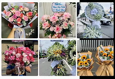 Shop Hoa Tươi Chơn Thành, Bình Phước