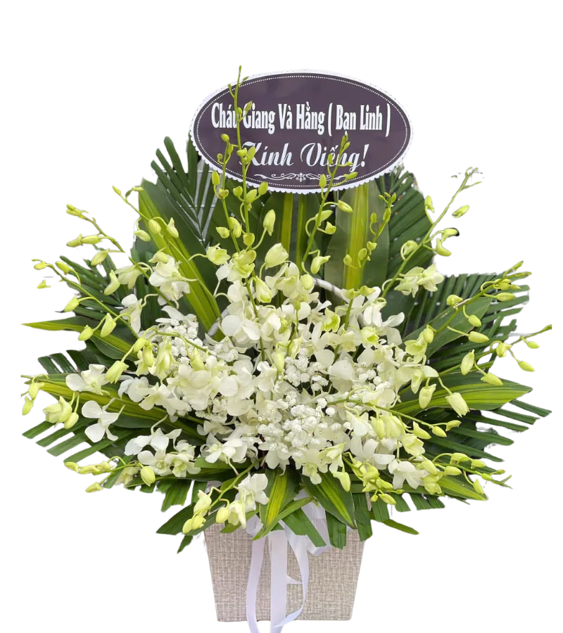 Giỏ Hoa Lan Trắng Kính Viếng