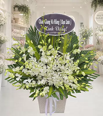 Giỏ Hoa Lan Trắng Kính Viếng