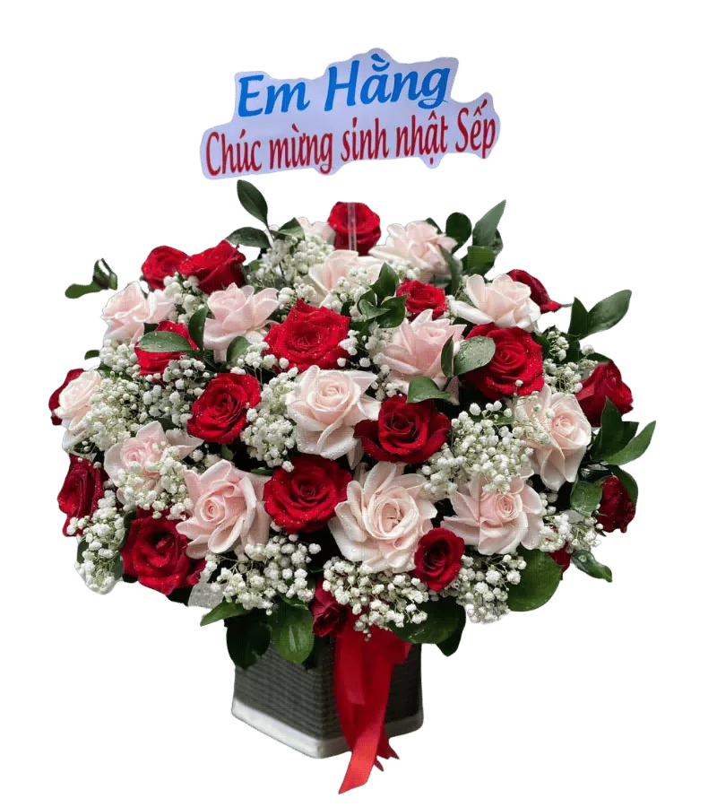 Giỏ Hoa Sinh Nhật Sắc Xuân
