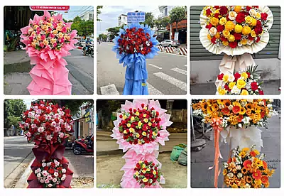 Hoa Chúc Mừng Khai Trương Bù Đốp, Bình Phước
