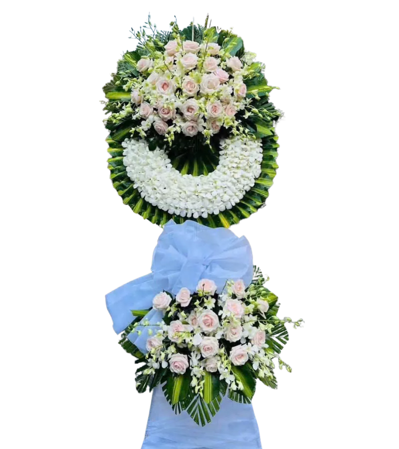 Kệ Hoa Hồng Phấn Thương Nhớ