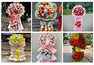 Hoa Khai Trương Phú Riềng, Bình Phước
