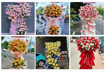 Hoa Khai Trương Hớn Quản, Bình Phước
