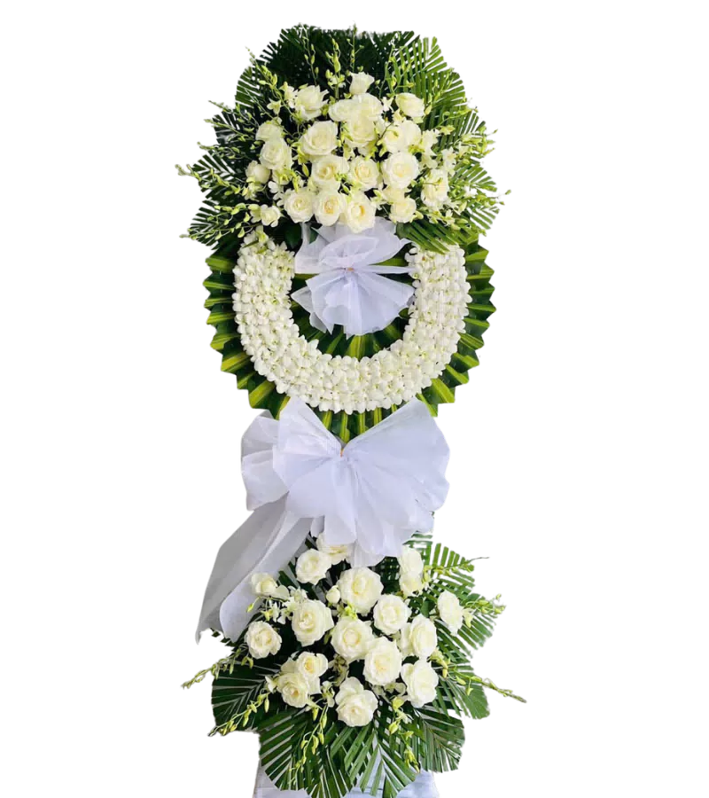 Kệ Hoa Lan Trắng Thương Nhớ
