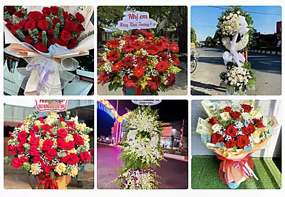 Shop Hoa Tươi Bù Đăng, Bình Phước