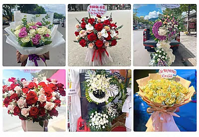 Shop Hoa Tươi Bù Đốp, Bình Phước