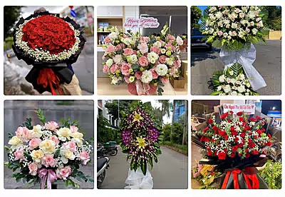 Shop Hoa Tươi Bù Gia Mập, Bình Phước