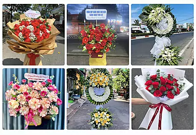 Shop Hoa Tươi Đồng Phú, Bình Phước