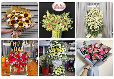 Shop Hoa Tươi Đồng Xoài, Bình Phước