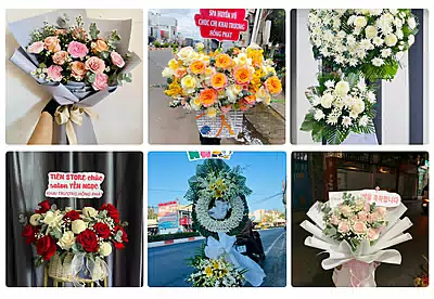Shop Hoa Tươi Hớn Quản, Bình Phước