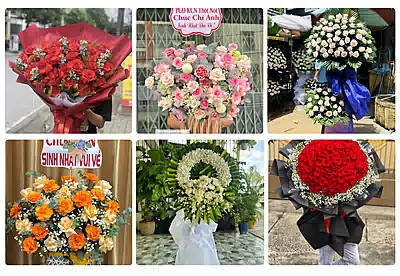 Shop Hoa Tươi Lộc Ninh, Bình Phước