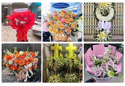 Shop Hoa Tươi Phú Riềng, Bình Phước