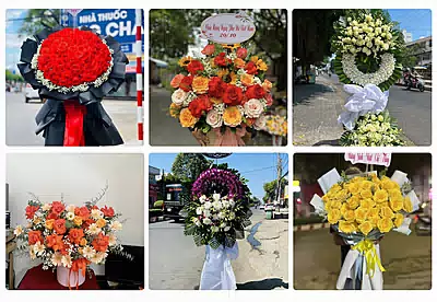 Shop Hoa Tươi Phước Long, Bình Phước